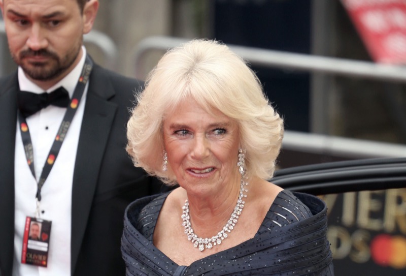 Camilla Parker Bowles Takes Another Fashionable Stab At Meghan Markle