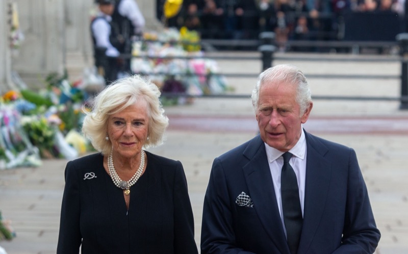 King Charles And Queen Camilla Criticized For This Reason