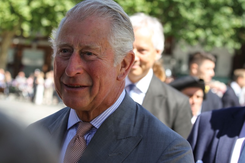 King Charles Makes Shocking Plea To Prince Harry, William 'Steaming Mad'!