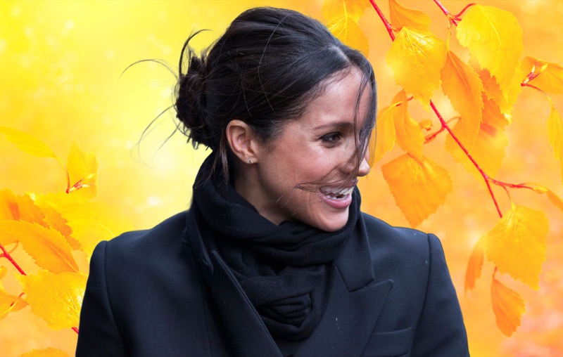 Meghan Markle Is Worried About Prince William’s American Plans