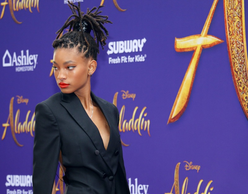 Willow Smith Shares Moody Post Amid Brother's Unusual Online and Offline Behavior