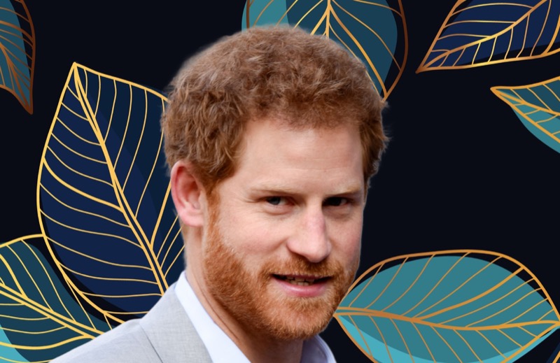 Prince Harry Wants To Move From California To UK