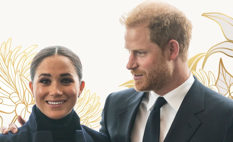 This Secret Weapon Erases Prince Harry and Meghan’s Taint?