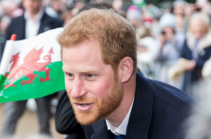 Prince Harry Called A Walking And Talking Snoozefest