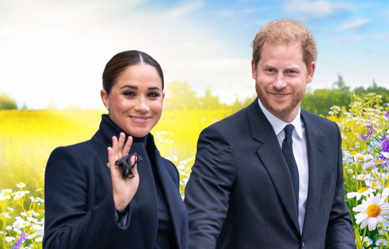 Prince Harry and Meghan Markle Want To Put Their Montecito Mansion On The Market