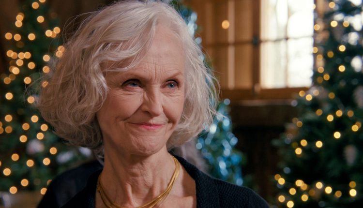 A Holiday I Do (Jill Larson) #2