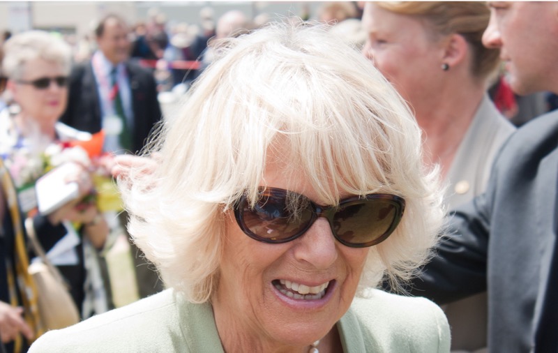 Queen Camilla Forbidding King Charles From Allowing Prince Harry Back Into The Firm