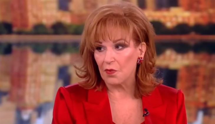 Joy Behar Snubbed Producer From Career Milestone