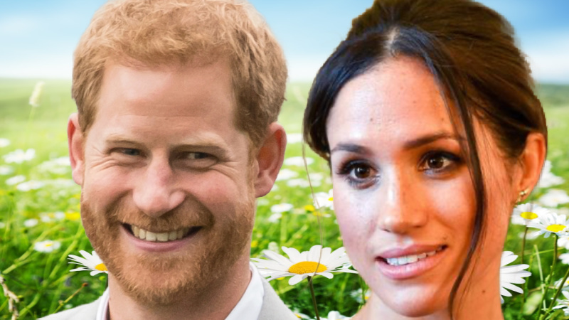 Prince Harry And Meghan Markle Want King Charles Back In Their Lives