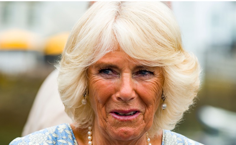 Queen Camilla Blamed For Prince William And Prince Harry’s Feud?