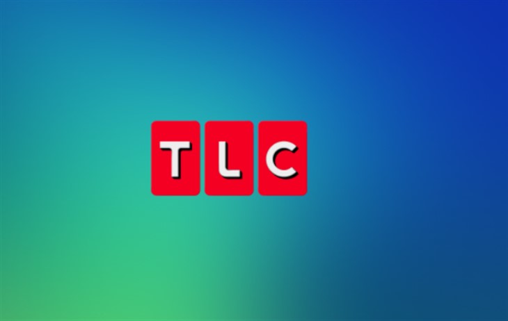 TLC Reveals 90 Day Fiance, Little People, Seeking Sister Wives And More 2024 Debuts