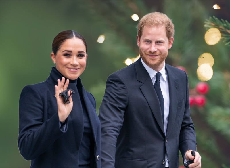 Royal Critics Blast Prince Harry And Meghan For Their Silence