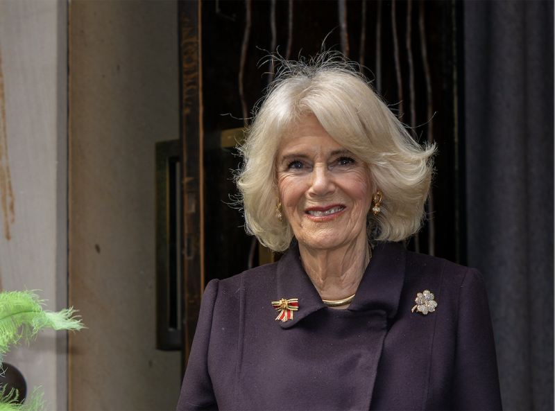 Queen Camilla Is Backing King Charles In His Feud With Prince Harry