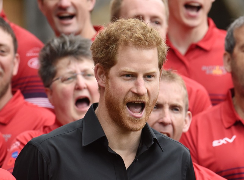 Royalists Think Prince Harry Should Be Removed From The Line Of Succession
