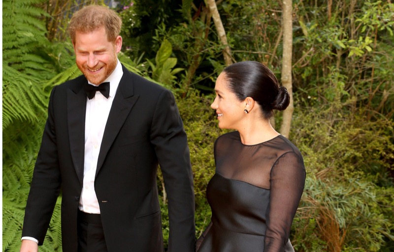 Prince Harry and Meghan Are The “Biggest Losers” Ever?