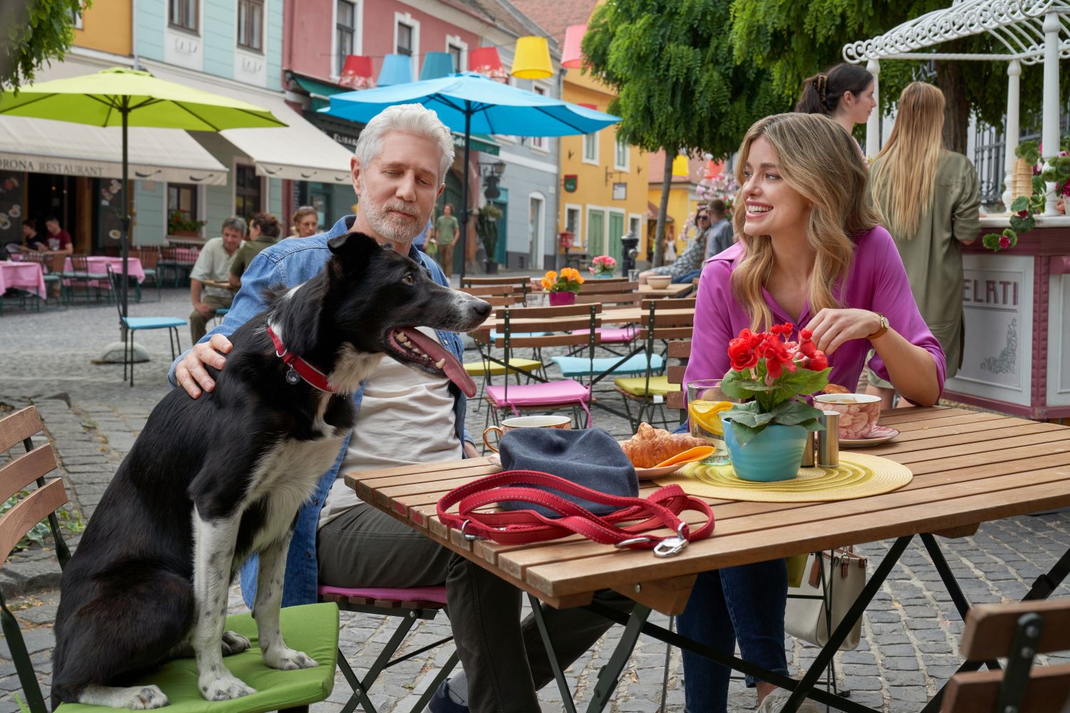 Love on the Right Course on Hallmark Channel