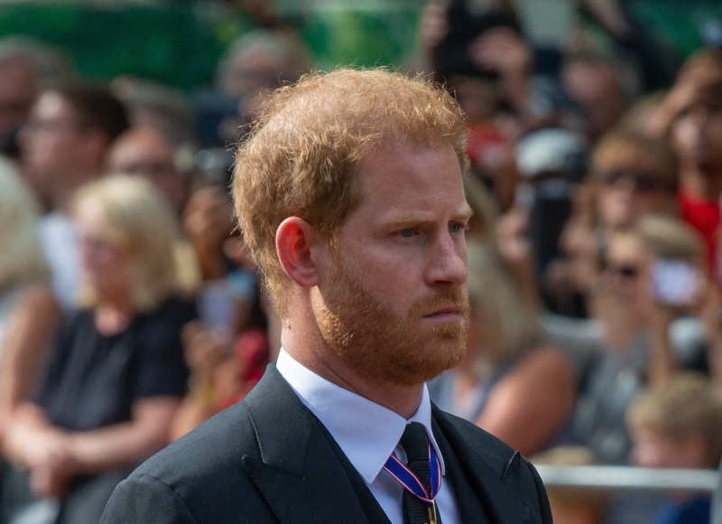 Prince Harry Jealous Of Prince Wiliam’s New Bromance