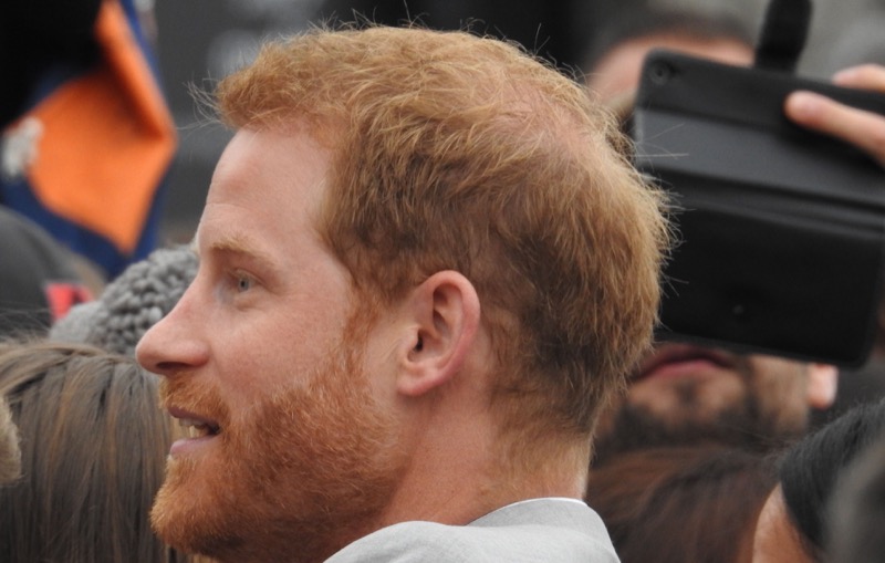 Prince Harry's Fresh 2024 Humiliation, Left Out Of Sandhurst Notable Alumni Book