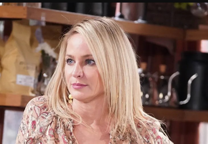 The Young And The Restless Spoilers Monday, January 15: Launch Party Drama, Mysterious Gift, Nikki’s Danger, Lauren’s 911