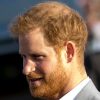 Prince Harry Thinks Doria Ragland Is The Third Wheel In His Marriage