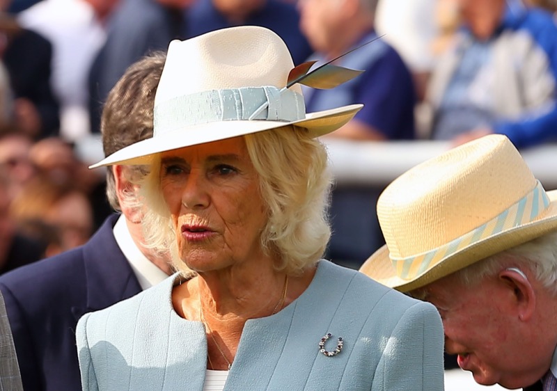 Queen Camilla Is Feeling The Heat For This Reason