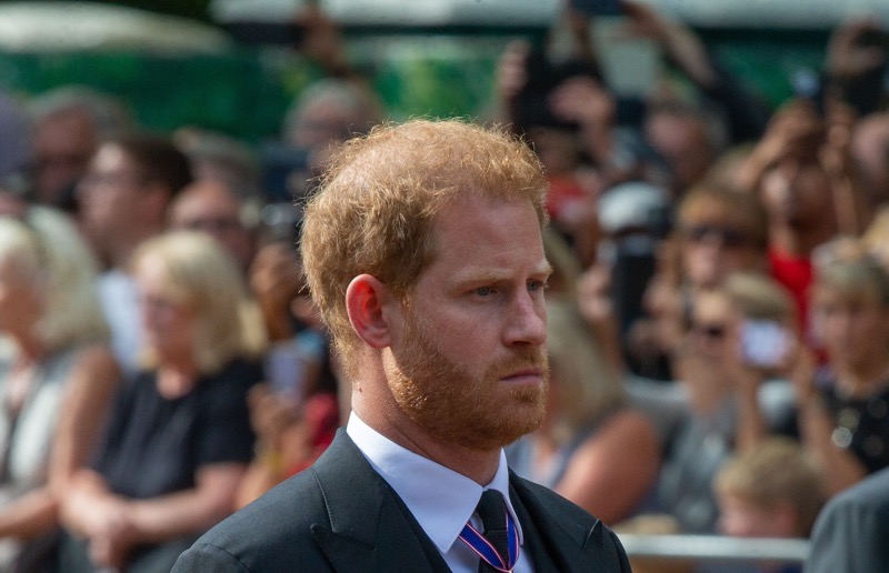 Prince Harry Would Return To Royal Family Under One Condition