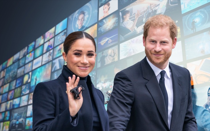 Prince Harry And Meghan Worried Netflix Will Drop Them Next