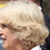 Is Queen Camilla Trolling Her Son-In-Law Prince William?