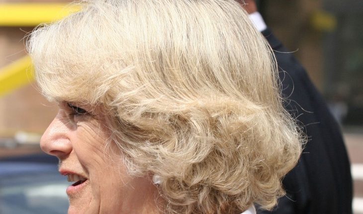 Shutterstock_1509078