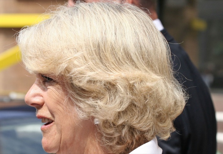Is Queen Camilla Trolling Her Son-In-Law Prince William?
