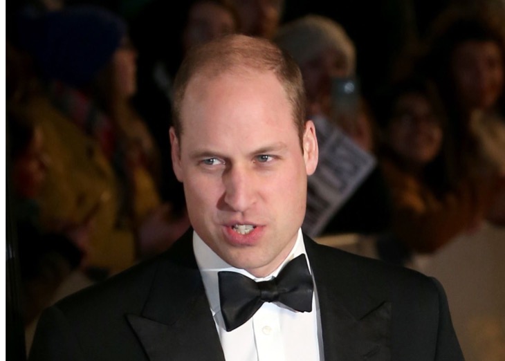 Prince William Is Feeling Triggered By Prince Harry Again
