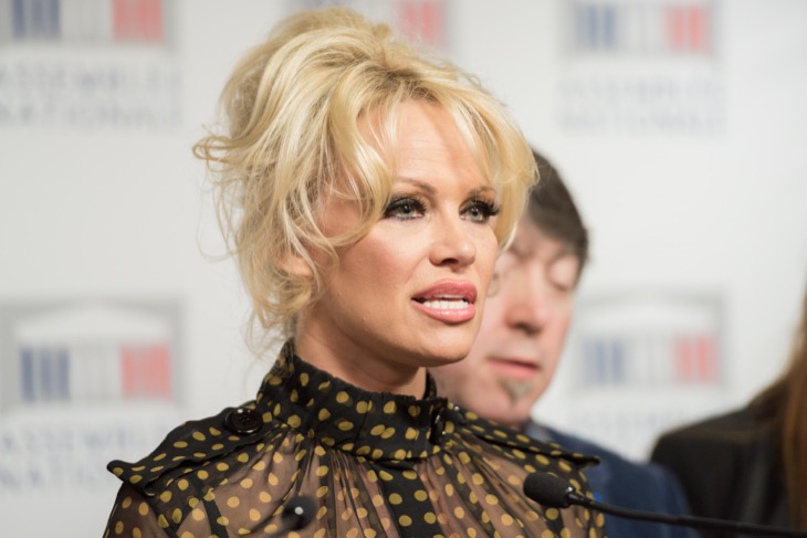 Pamela Anderson Reveals The Real Reason Behind Her Viral Makeup-Free Moment