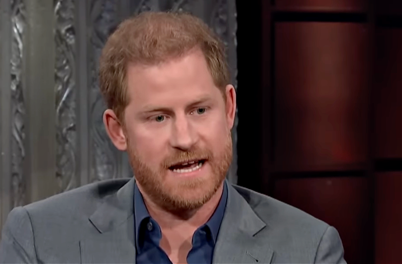 What Did Prince Harry And King Charles Talk About For 45 Minutes