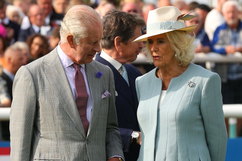 Queen Camilla Urging King Charles To Step Down From The Throne?