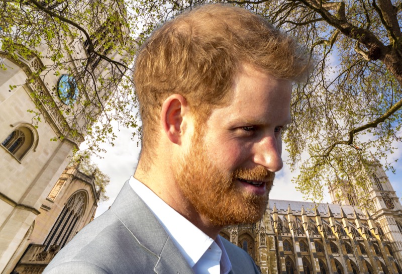 Prince Harry Terrified Of King Charles’ Death