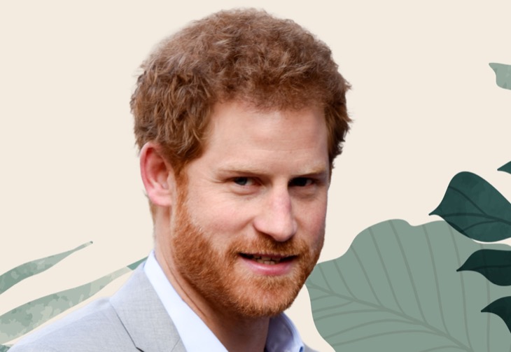 Is Prince Harry Charging For King Charles Cancer Interviews