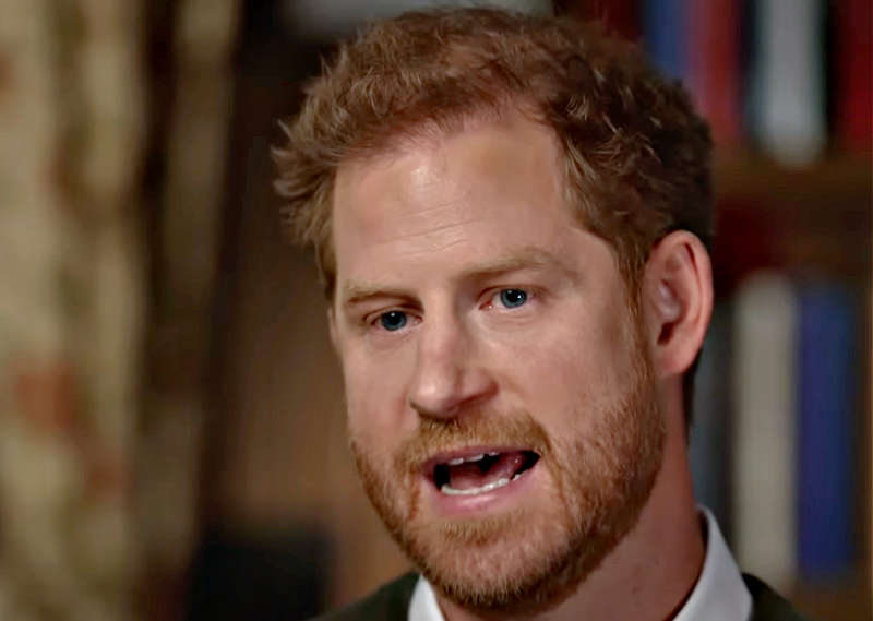 Prince Harry Plans To Rescue His Suffering Family, This is Their Response