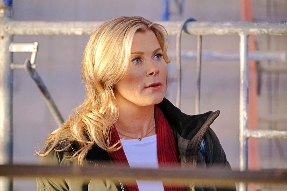 Alison Sweeney in the Murder, She Baked - Hannah Swensen movies