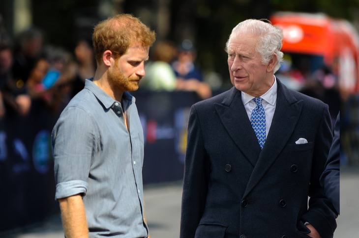 Did Prince Harry Meet With King Charles To Discuss His Will?