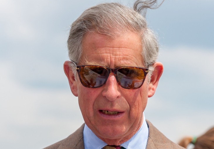 King Charles is Reportedly Working On SECRET Succession Plan Behind Prince Harry's Back