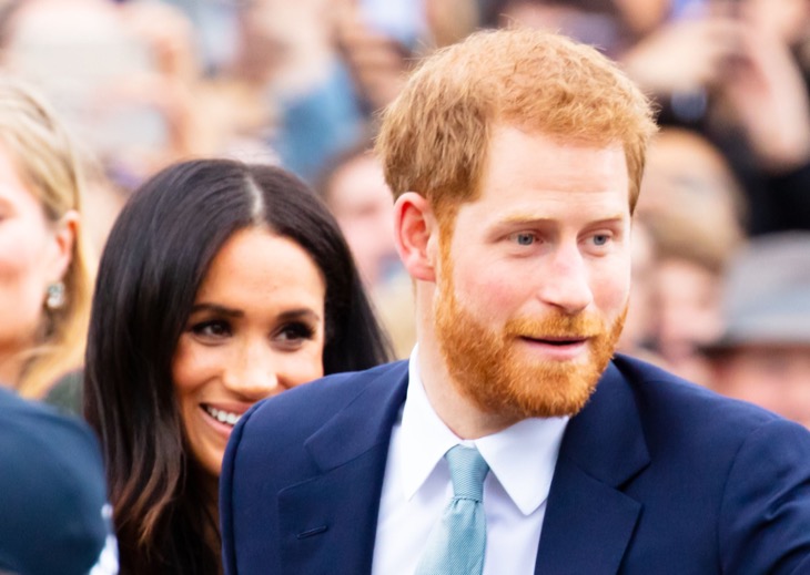 Prince Harry And Meghan Markle Prepared To Fight For Their Titles