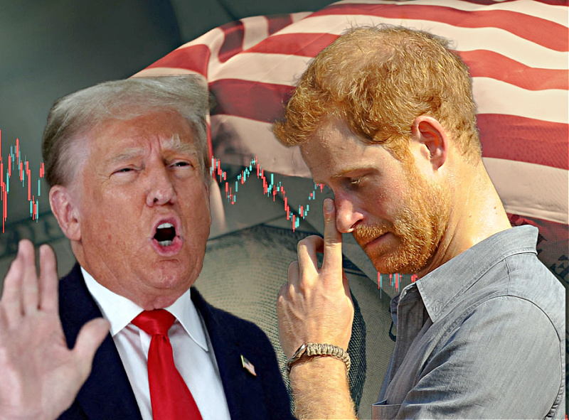 Prince Harry Issued A Warning From Donald Trump