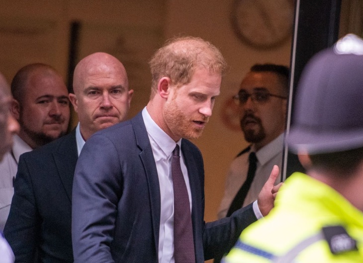 Prince Harry’s Good Intentions Called ‘A Farce’