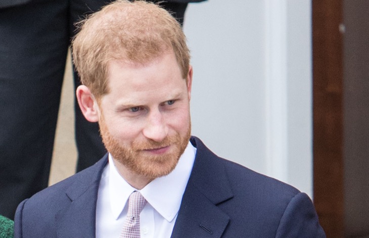 Prince Harry LOSES In Court, Not Entitled To The Same UK Security As Senior Royals