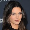 Kardashian Fans Spot 'Secret Clues' That Kendall And Devin Are Back Together