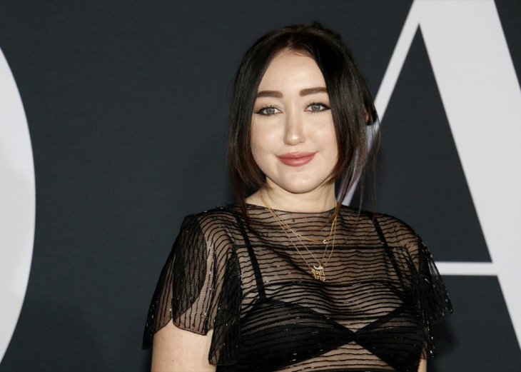 Noah Cyrus' Alleged Romance With Stepdad Dominic Purcell Was Fabricated