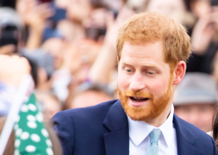 Prince Harry Warns The UK Court System He Suffers More Danger Than Princess Diana