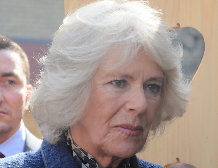 Queen Camilla’s Absence Is Sparking Major Concern