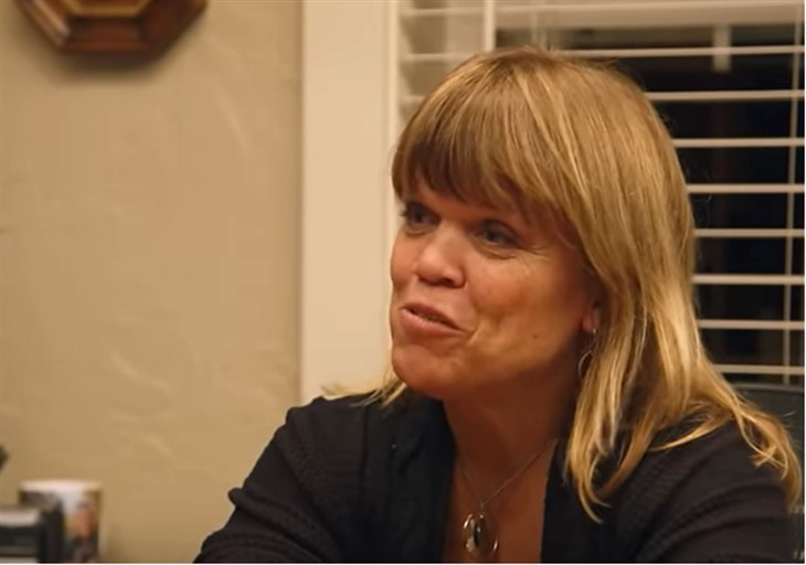 LPBW Spoilers: Amy Roloff Teases Show's Cancellation?