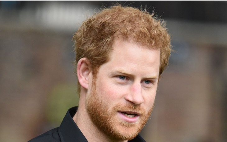 Will Prince Harry Be Welcomed Into The Royal Family After He Is Booted From The US